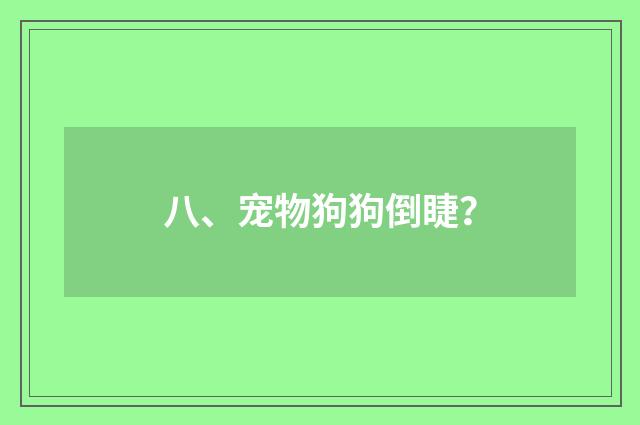 八、宠物狗狗倒睫?