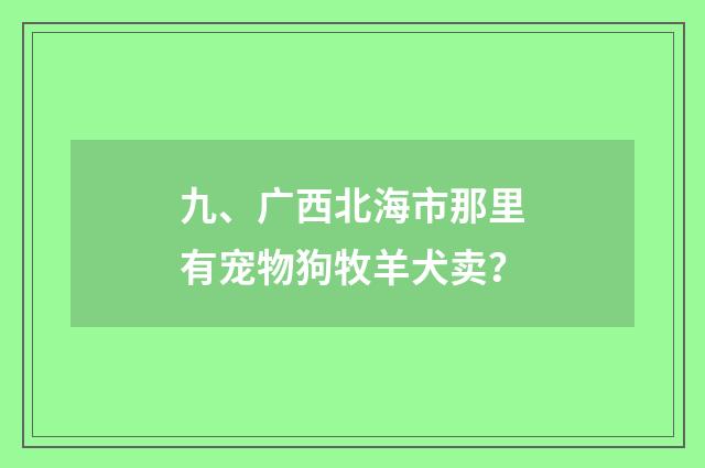 九、广西北海市那里有宠物狗牧羊犬卖？