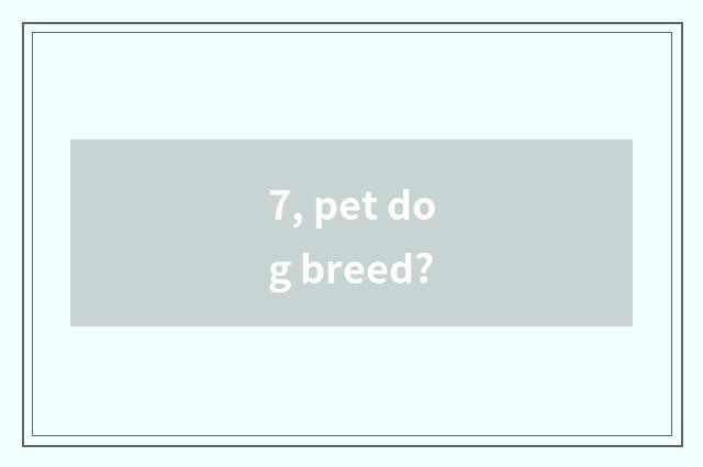 7, pet dog breed?