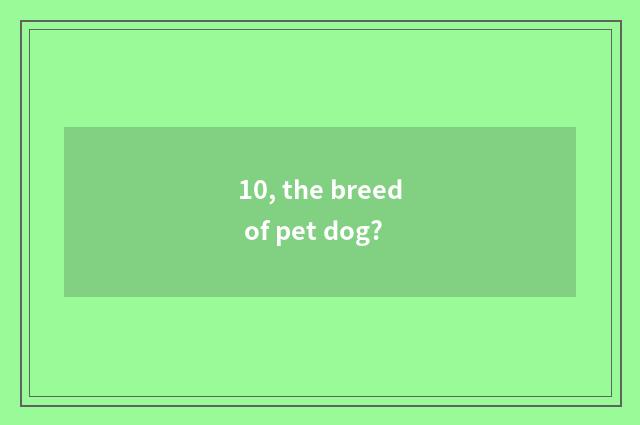 10, the breed of pet dog?