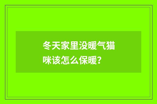 冬天家里没暖气猫咪该怎么保暖？