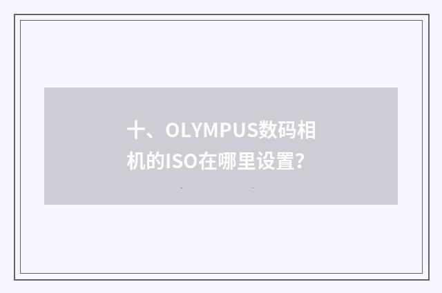 十、OLYMPUS数码相机的ISO在哪里设置？