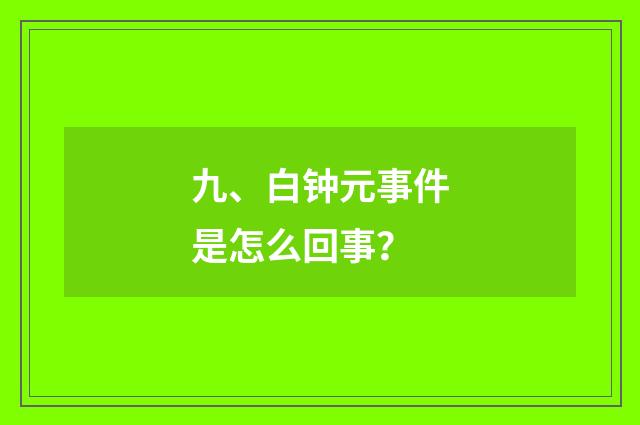 九、白钟元事件是怎么回事？