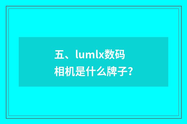 五、lumlx数码相机是什么牌子？