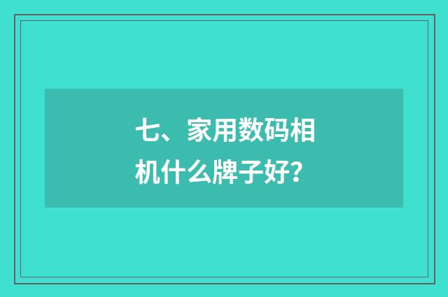 七、家用数码相机什么牌子好？