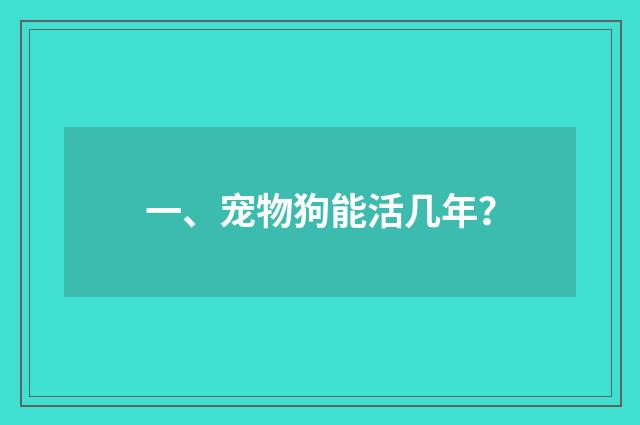一、宠物狗能活几年?