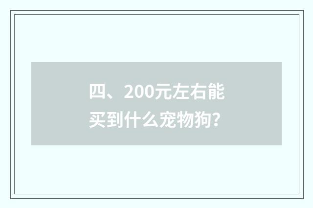 四、200元左右能买到什么宠物狗？