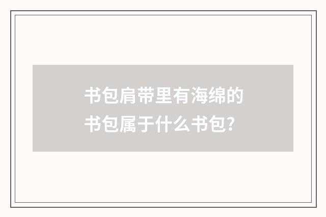 书包肩带里有海绵的书包属于什么书包?