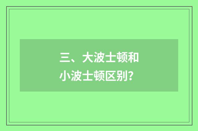 三、大波士顿和小波士顿区别？