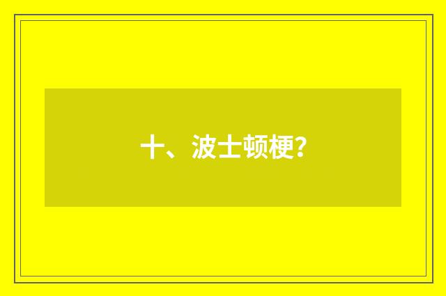 十、波士顿梗？