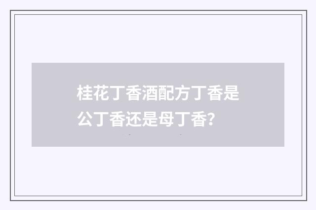 桂花丁香酒配方丁香是公丁香还是母丁香？