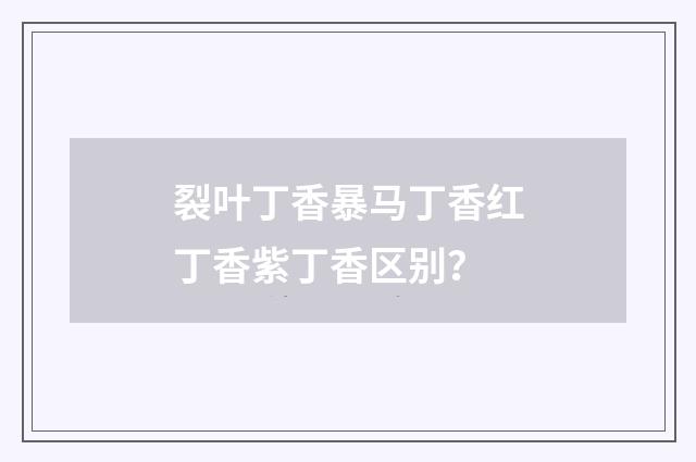 裂叶丁香暴马丁香红丁香紫丁香区别？