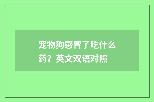 宠物狗感冒了吃什么药？英文双语对照