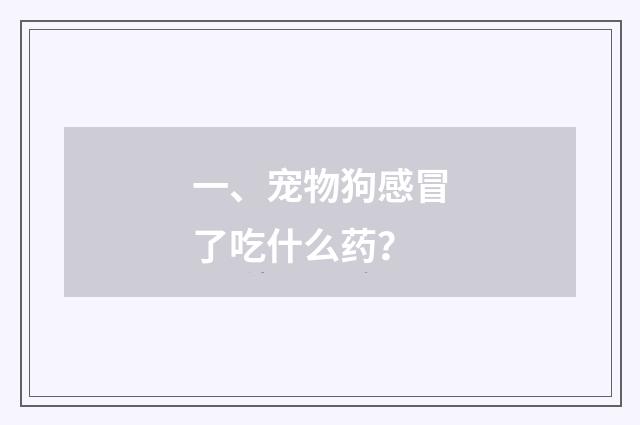 一、宠物狗感冒了吃什么药？