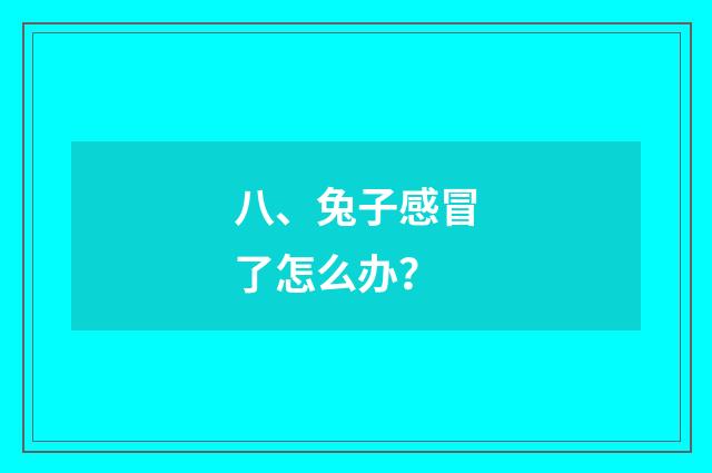 八、兔子感冒了怎么办？