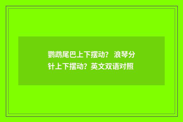 鹦鹉尾巴上下摆动？ 浪琴分针上下摆动？英文双语对照