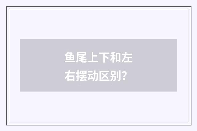 鱼尾上下和左右摆动区别？