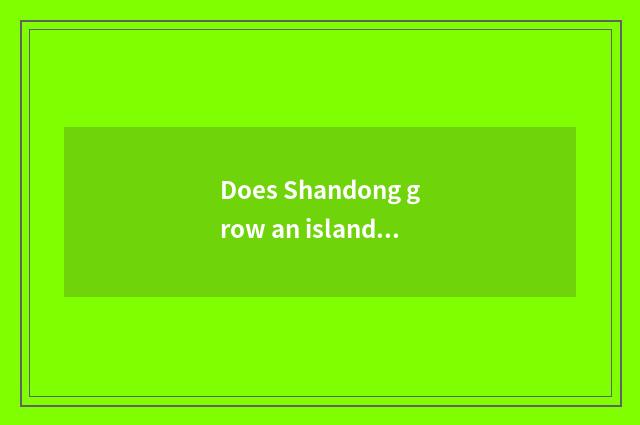 Does Shandong grow an island what to amused travel tourist attraction have?