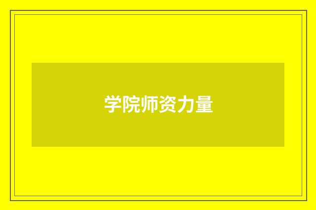 学院师资力量