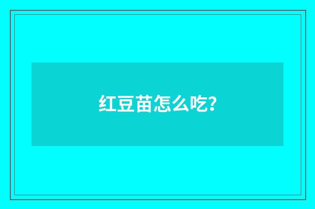 红豆苗怎么吃？