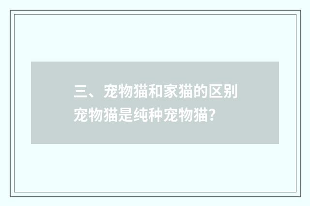 三、宠物猫和家猫的区别宠物猫是纯种宠物猫？