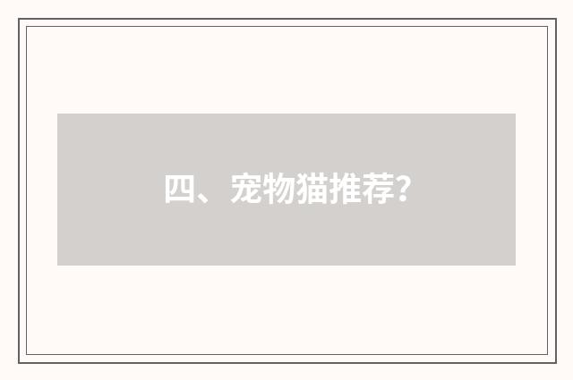 四、宠物猫推荐？