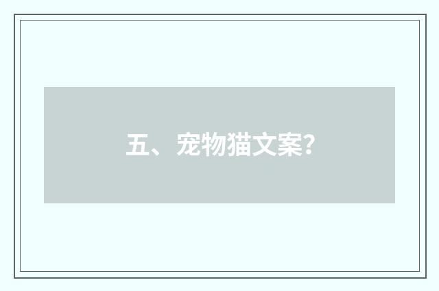 五、宠物猫文案？