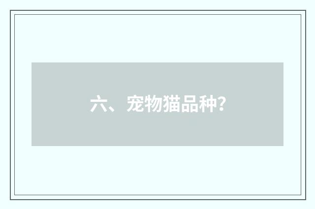六、宠物猫品种？