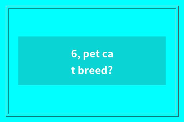 6, pet cat breed?
