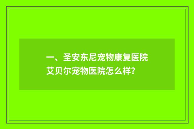 一、圣安东尼宠物康复医院艾贝尔宠物医院怎么样？
