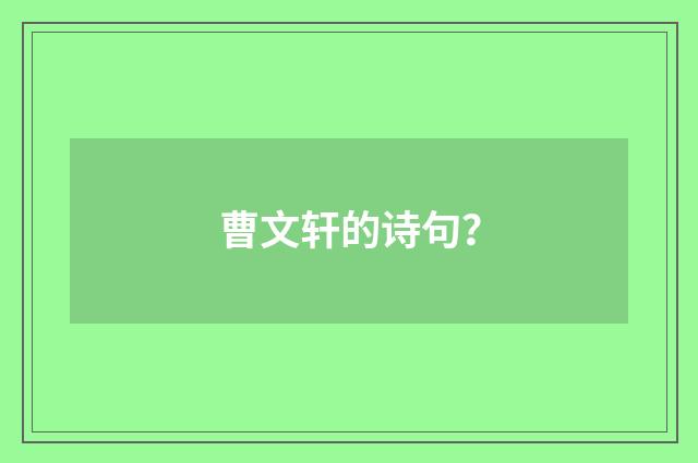 曹文轩的诗句？