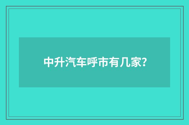中升汽车呼市有几家？