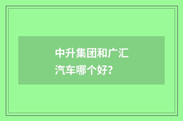 中升集团和广汇汽车哪个好？