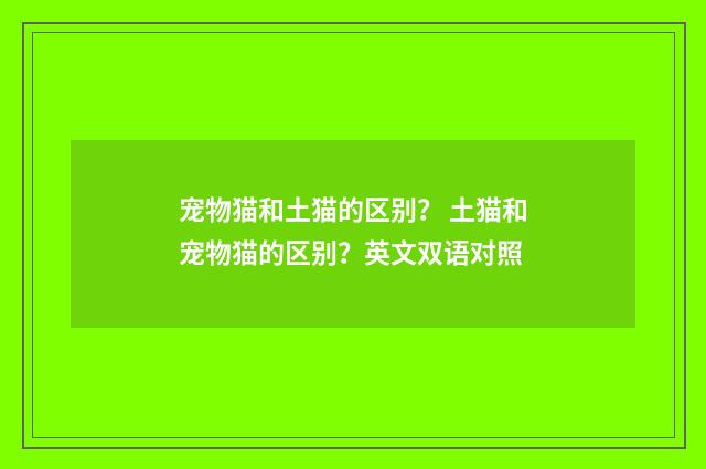 宠物猫和土猫的区别？ 土猫和宠物猫的区别？英文双语对照