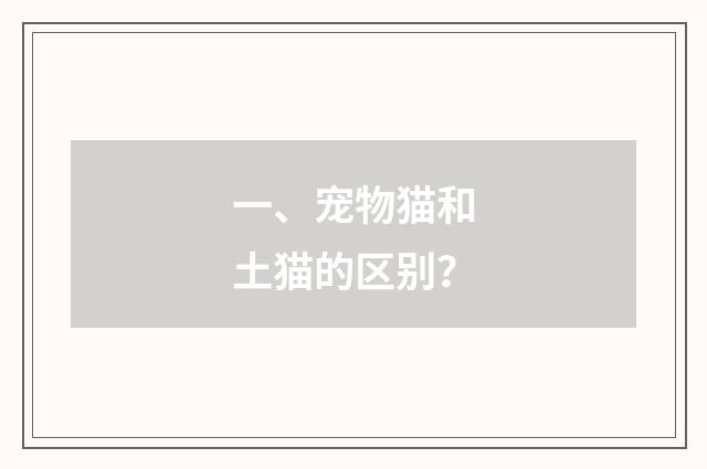 一、宠物猫和土猫的区别?