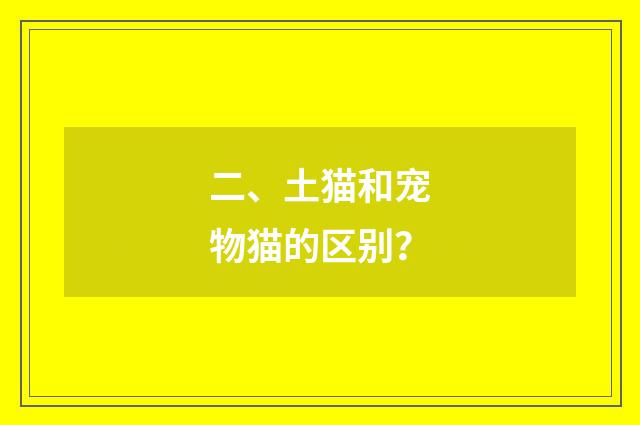 二、土猫和宠物猫的区别？