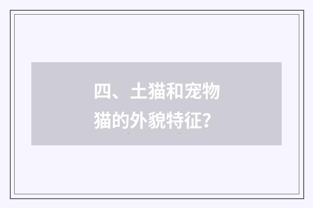 四、土猫和宠物猫的外貌特征？
