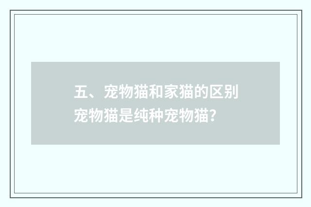 五、宠物猫和家猫的区别宠物猫是纯种宠物猫？