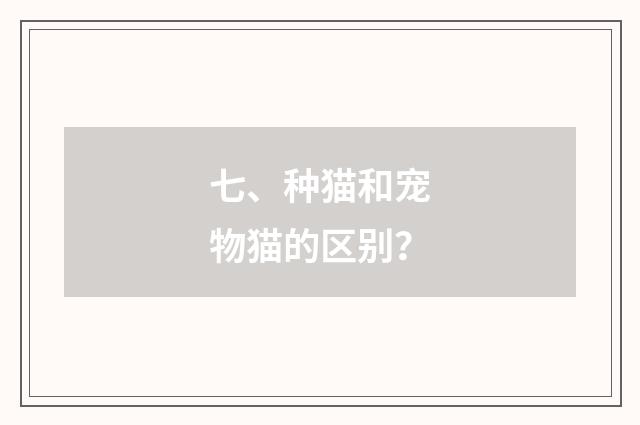 七、种猫和宠物猫的区别？