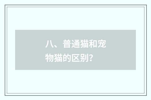 八、普通猫和宠物猫的区别？