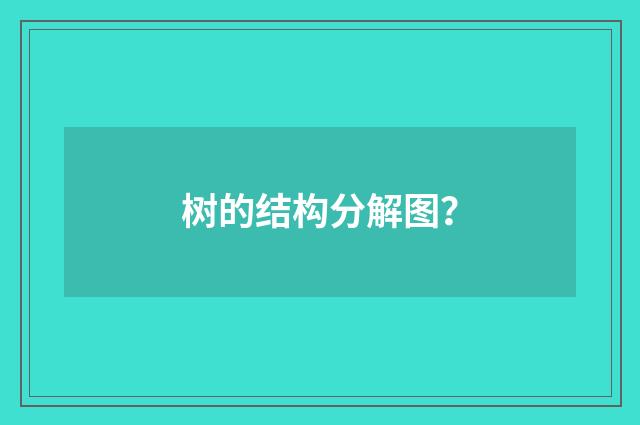 树的结构分解图？