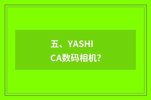 五、YASHICA数码相机？