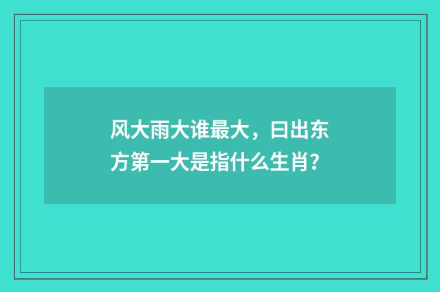 风大雨大谁最大,曰出东方第一大是指什么生肖?