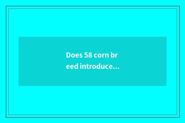 Does 58 corn breed introduce embellish east?