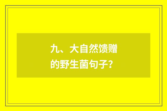 九、大自然馈赠的野生菌句子？