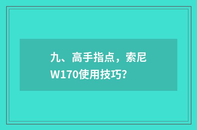九、高手指点,索尼W170使用技巧?