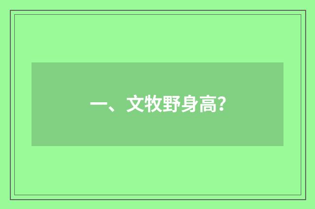 一、文牧野身高？