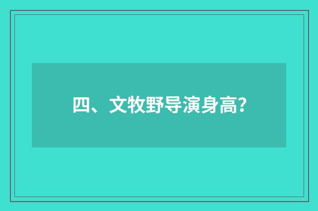 四、文牧野导演身高？