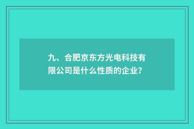 九、合肥京东方光电科技有限公司是什么性质的企业？