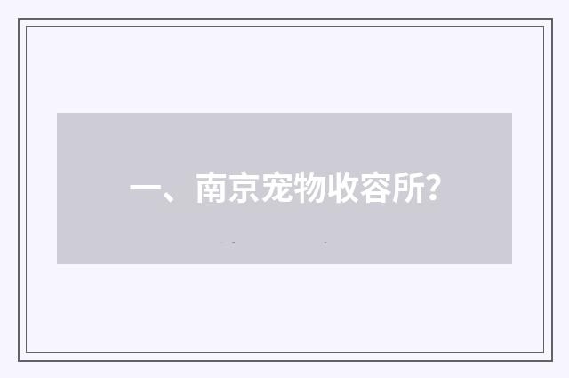 一、南京宠物收容所？